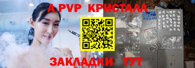 стаф Кунгур