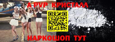 стаф Кунгур