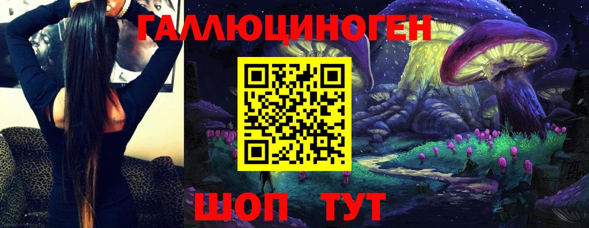 Галлюциногенные грибы Psilocybine cubensis Заволжье