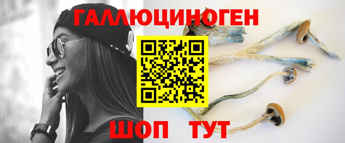 Галлюциногенные грибы Psilocybine cubensis  Вход с VPN  Галлюциногенные грибы GOLDEN TEACHER  Заволжье 