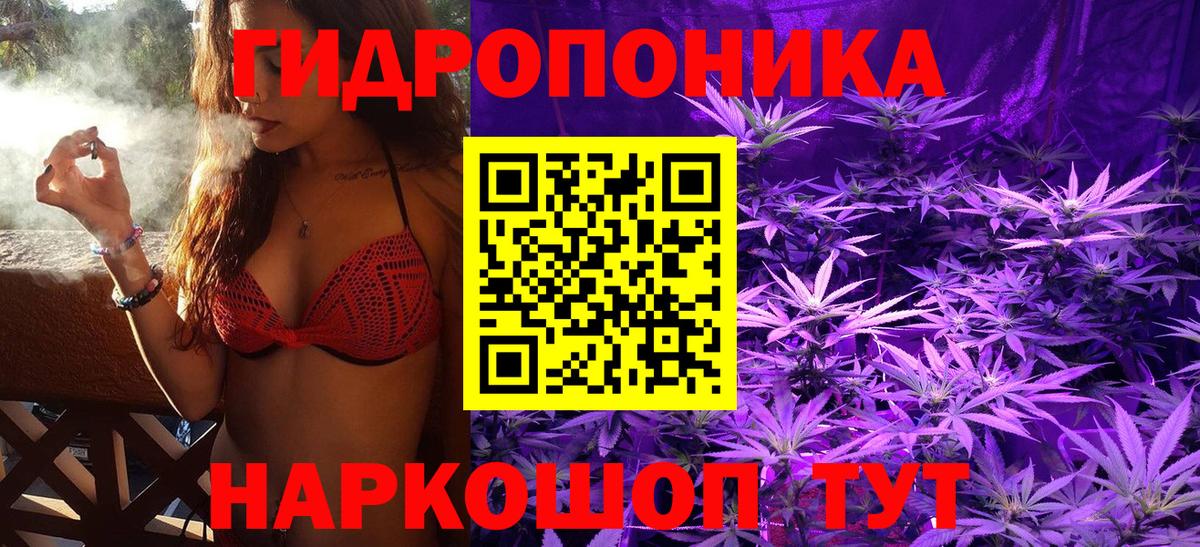 Каннабис ГИДРОПОН Заволжье